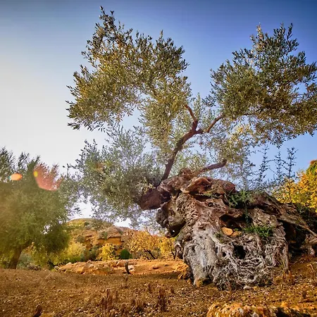Cavetta * Agrigento